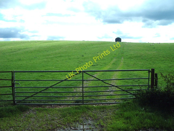 Photo 6"x4" Track to the barn on Intake Hill Little Musgrave c2006