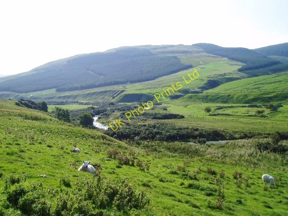 Photo 6"x4" Bowmont Water Valley near Swindon Sourhope c2006