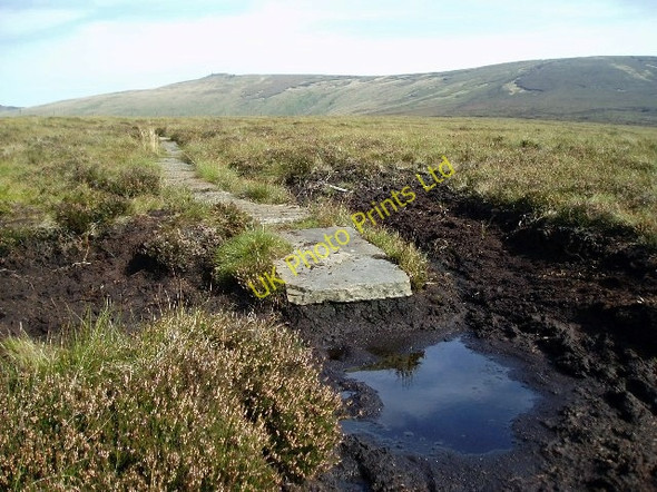Photo 6"x4" Pathway or diving board? Crookedsike Head c2006