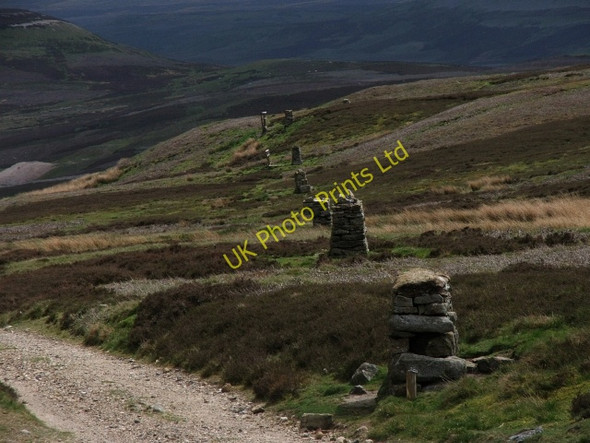 Photo 6"x4" Grouse Butts on Moulds Bottom. Arkle Town c2007
