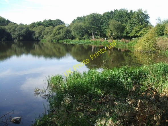 Photo 6"x4" Izaak Walton Pool,  north of Bloxwich Bloxwich c2006