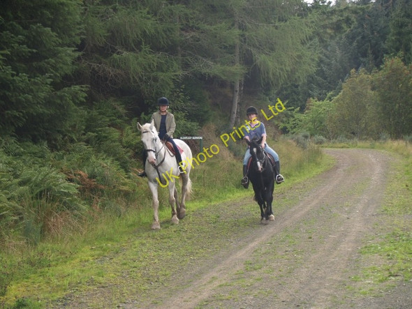 Photo 6"x4" Horses and riders, Cardrona Forest Laverlaw c2006