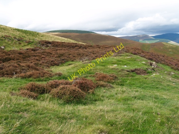 Photo 6"x4" Site of old settlement, Orchard Rig. Howford\/NT3136 c2006