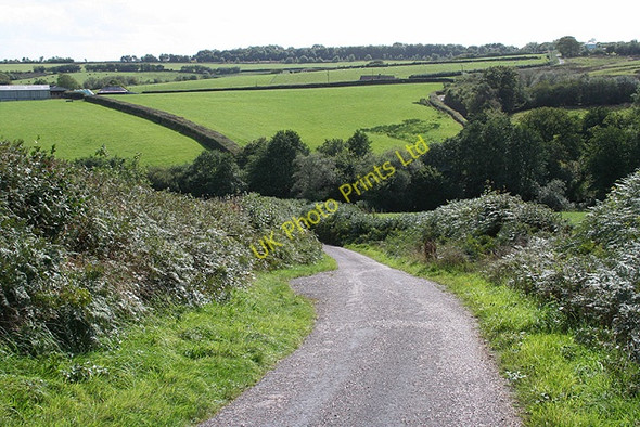 Photo 6"x4" Stoodleigh: near West Whitnole Rackenford c2006