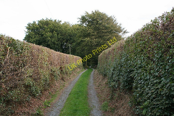 Photo 6"x4" Creacombe: footpath to West Backstone Batsworthy c2006