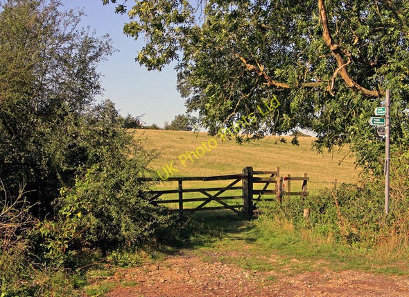 Photo 6"x4" Footpath across Beechwood Park Ballingdon Bottom c2006