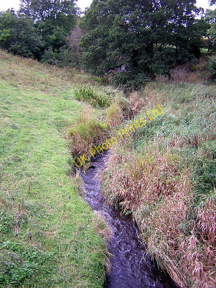 Photo 6"x4" Brock Burn Netherplace c2006