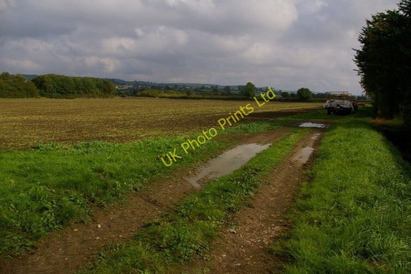 Photo 6"x4" Field Near Wilton Carr Wilton\/SE8682 c2006