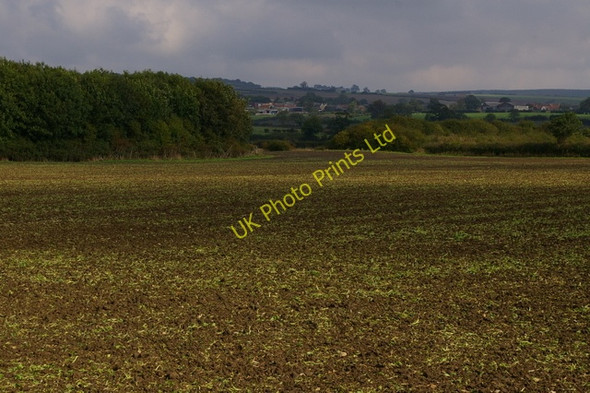 Photo 6"x4" Field Near Wilton Carr Wilton\/SE8682 c2006 P1