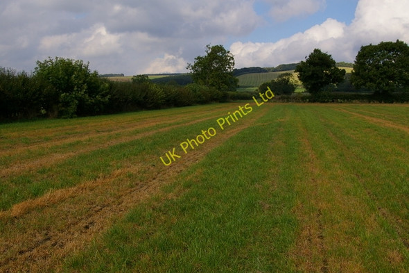Photo 6"x4" Field Near Allerston Looking North Allerston c2006