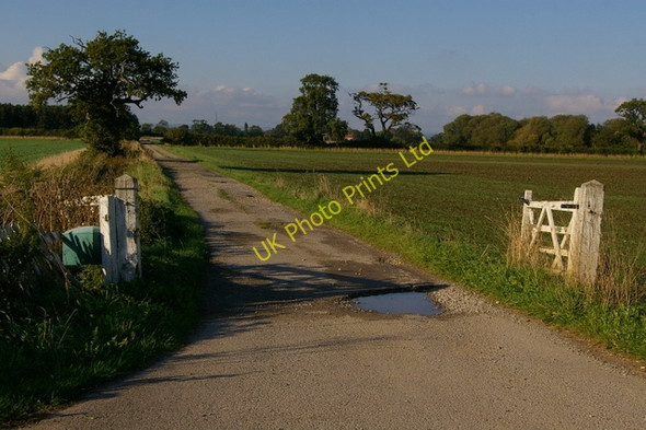 Photo 6"x4" The Marrs Scagglethorpe c2006