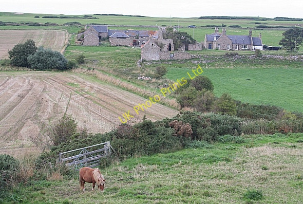 Photo 6"x4" Mains of Findochty Findochty c2006