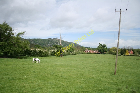 Photo 6"x4" Pasture, Brickbarns Farm Malvern Wells c2007