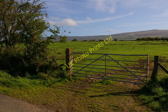 Photo 6"x4" Viol Moor Unthank\/NY6040 c2006