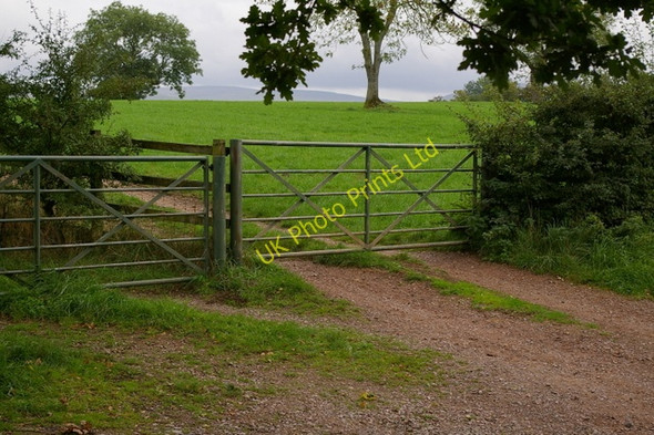 Photo 6"x4" Looking north Near Stank Lane Appleby-in-Westmorland c2006
