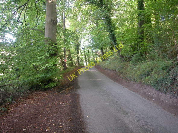 Photo 6"x4" Fawley Bottom Lane Fawley Bottom c2005