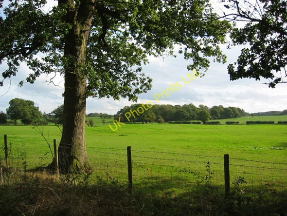 Photo 6"x4" Small wood south of The Hollies Cobscot c2006