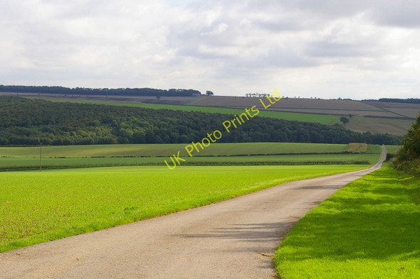 Photo 6"x4" Looking Down Thirkleby Wold Bridleway West Lutton c2006