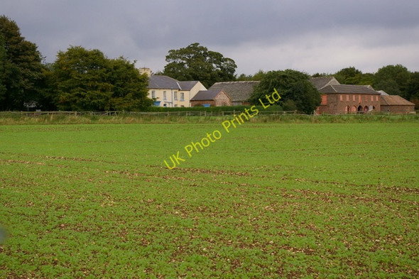Photo 6"x4" Warren Farm Sledmere c2006