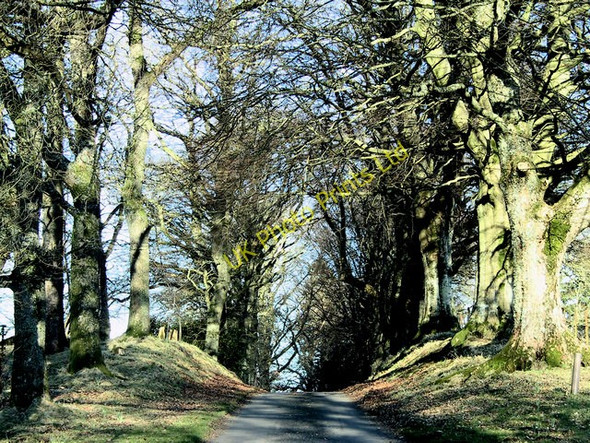 Photo 6"x4" The approach to Kilbryde Castle Doune\/NN7301 c2004