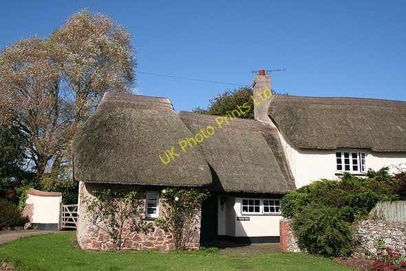 Photo 6"x4" Cheriton Fitzpaine: Chilton Fold Perry\/SS8605 c2006