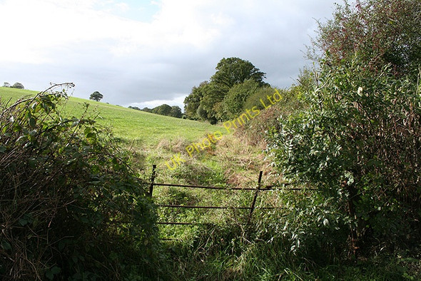 Photo 6"x4" Kennerleigh: fence and hedge Kennerleigh c2006