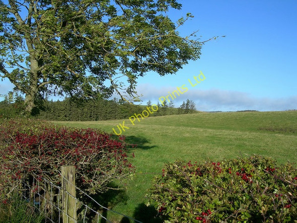 Photo 6"x4" Field Edge Culroy\/NS3114 c2006