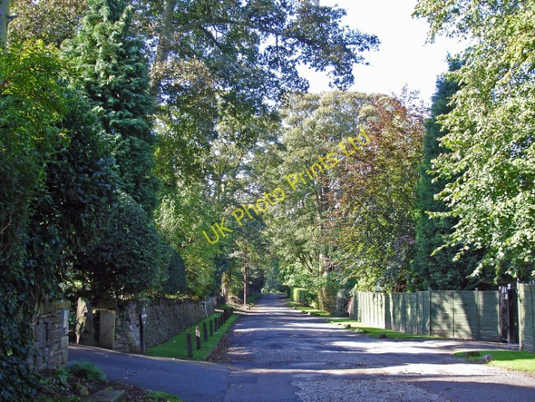 Photo 6"x4" Disley: Red Lane New Mills\/SJ9985 c2006