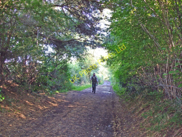 Photo 6"x4" Adlington: on the North Cheshire Way near Wych Wood Bollington c2006