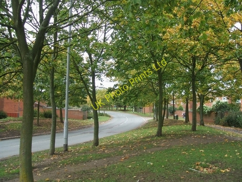 Photo 6"x4" Poplar Avenue with autumn tints Darlaston c2006