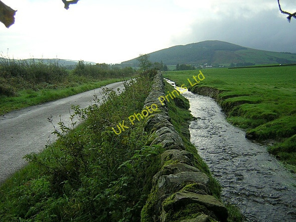 Photo 6"x4" Burn Near Killywhan Beeswing c2006