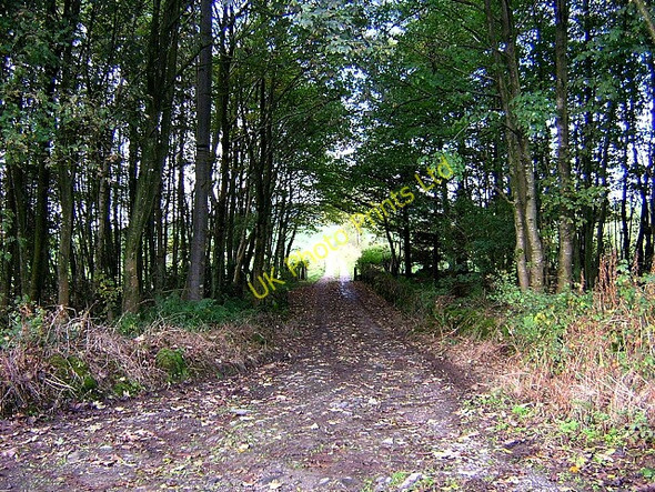 Photo 6"x4" Track to Lawston Beeswing c2006