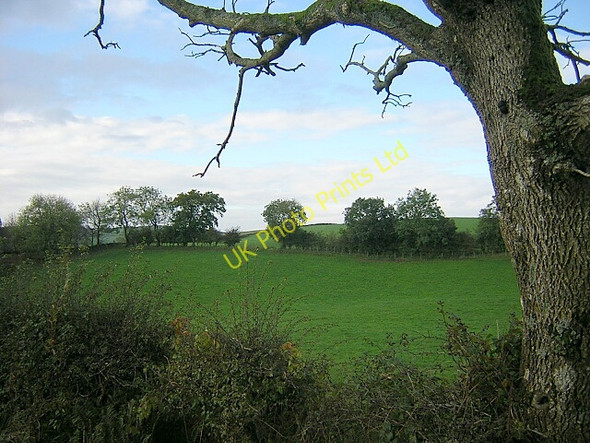 Photo 6"x4" Field near Abune the Brae Three Crofts c2006