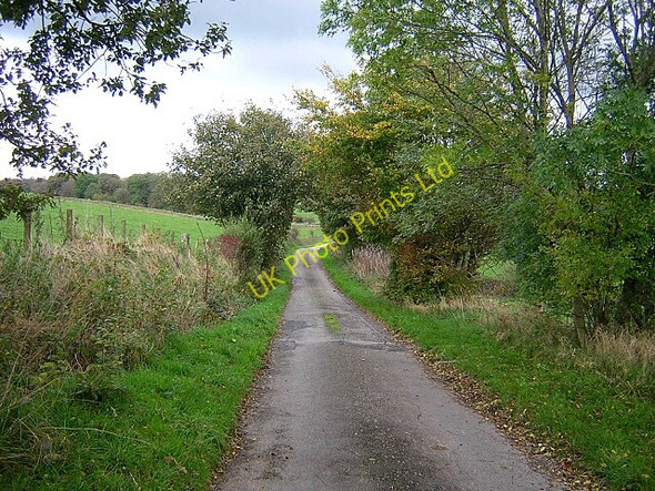Photo 6"x4" Minor Road Near Old Blairshinnoch Beeswing c2006