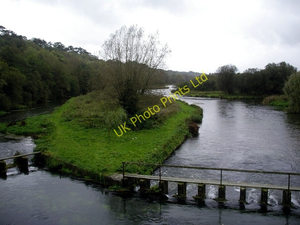 Photo 6"x4" River Test, between Fullerton and Chilbolton West Down\/SU3838 c2006
