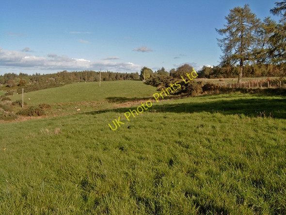 Photo 6"x4" Near Bothiewalls (farm) Whitemire\/NH9754 c2006