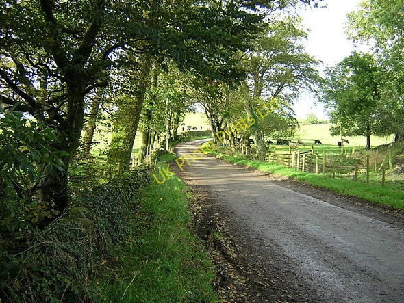 Photo 6"x4" Milton to Crocketford Road Milton\/NX8470 c2006