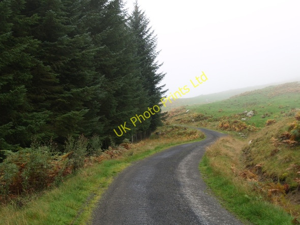Photo 6"x4" Forest road, Bridge of Ericht Killichonan c2006