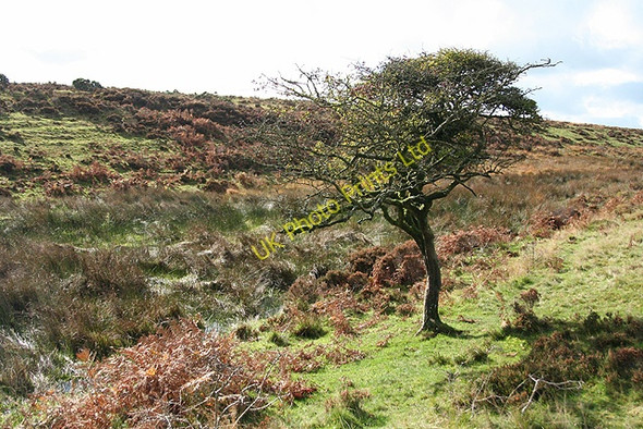 Photo 6"x4" Molland: Long Breach Bottom Champson c2006