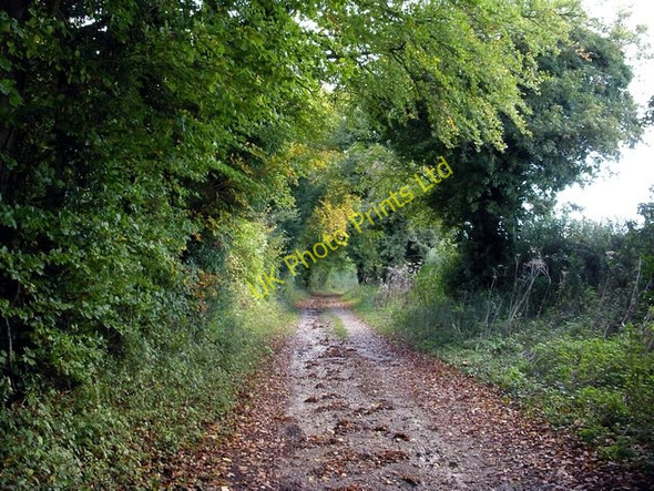 Photo 6"x4" Track leading north west from Hacks Lane, near Crawley Crawley\/SU4234 c2006
