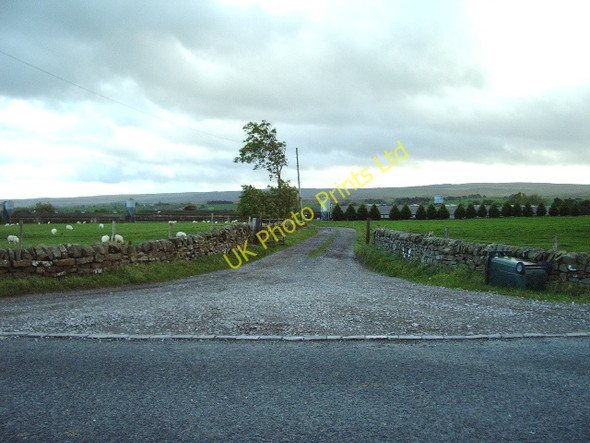 Photo 6"x4" The Road to Myre Keld Farm Bowes\/NY9913 c2006