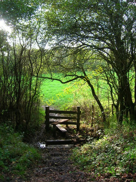Photo 6"x4" Footpath to Cogger's Cross Marle Green c2006