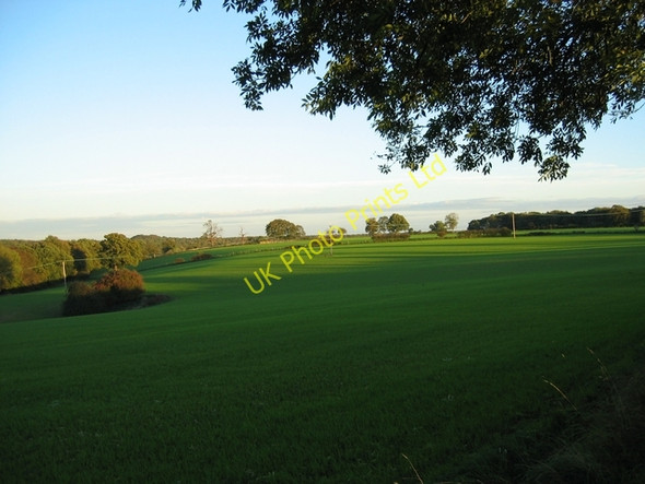 Photo 6"x4" Fields at Northchurch Farm Berkhamsted c2006