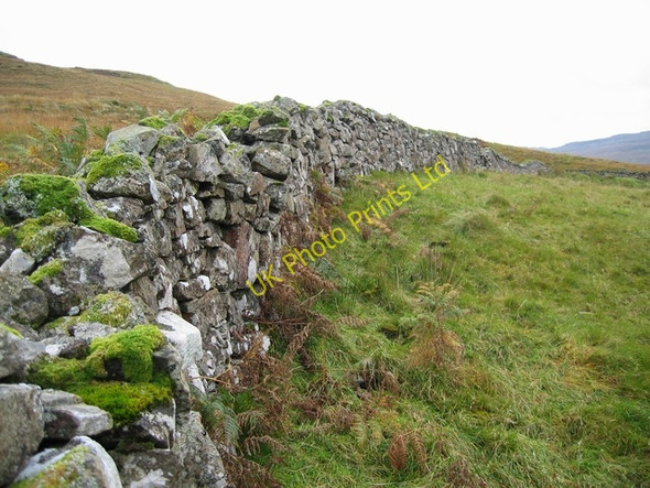 Photo 6"x4" Wall in Sumardale Coillore c2006