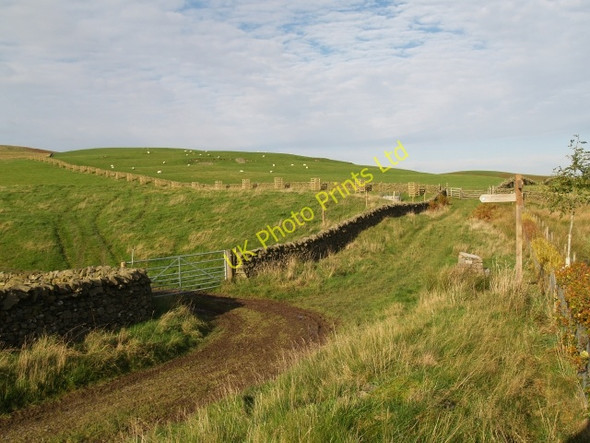 Photo 6"x4" Track junction, Stewarton Cringletie c2006