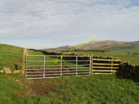Photo 6"x4" Gate and Track, near Stewarton Hattonknowe c2006