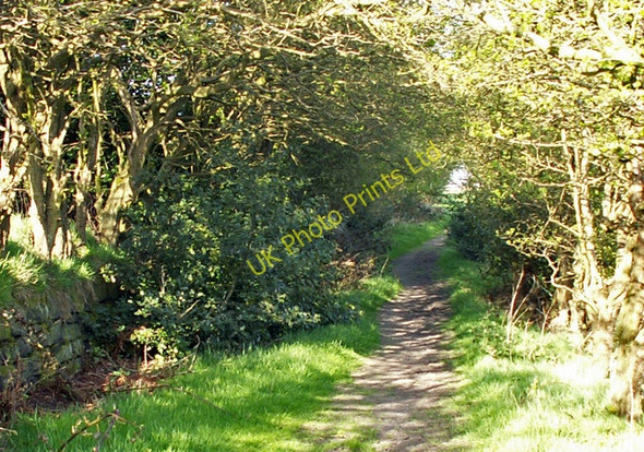 Photo 6"x4" Footpath below Lower Rawtonstall Hebden Bridge c2006