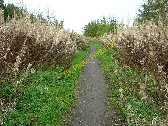 Photo 6"x4" Path from Calder Water Kelvin\/NS6352 c2006