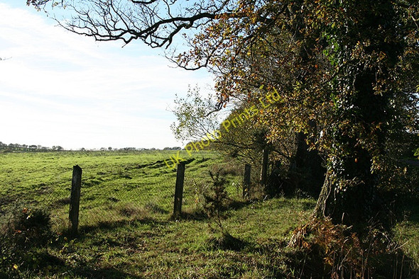 Photo 6"x4" East Worlington: by Affeton Moor Cross West Worlington c2006