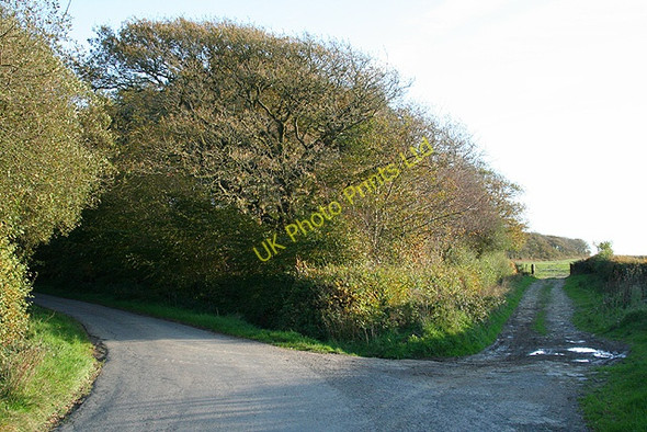Photo 6"x4" East Worlington: by Yelland Moor West Worlington c2006